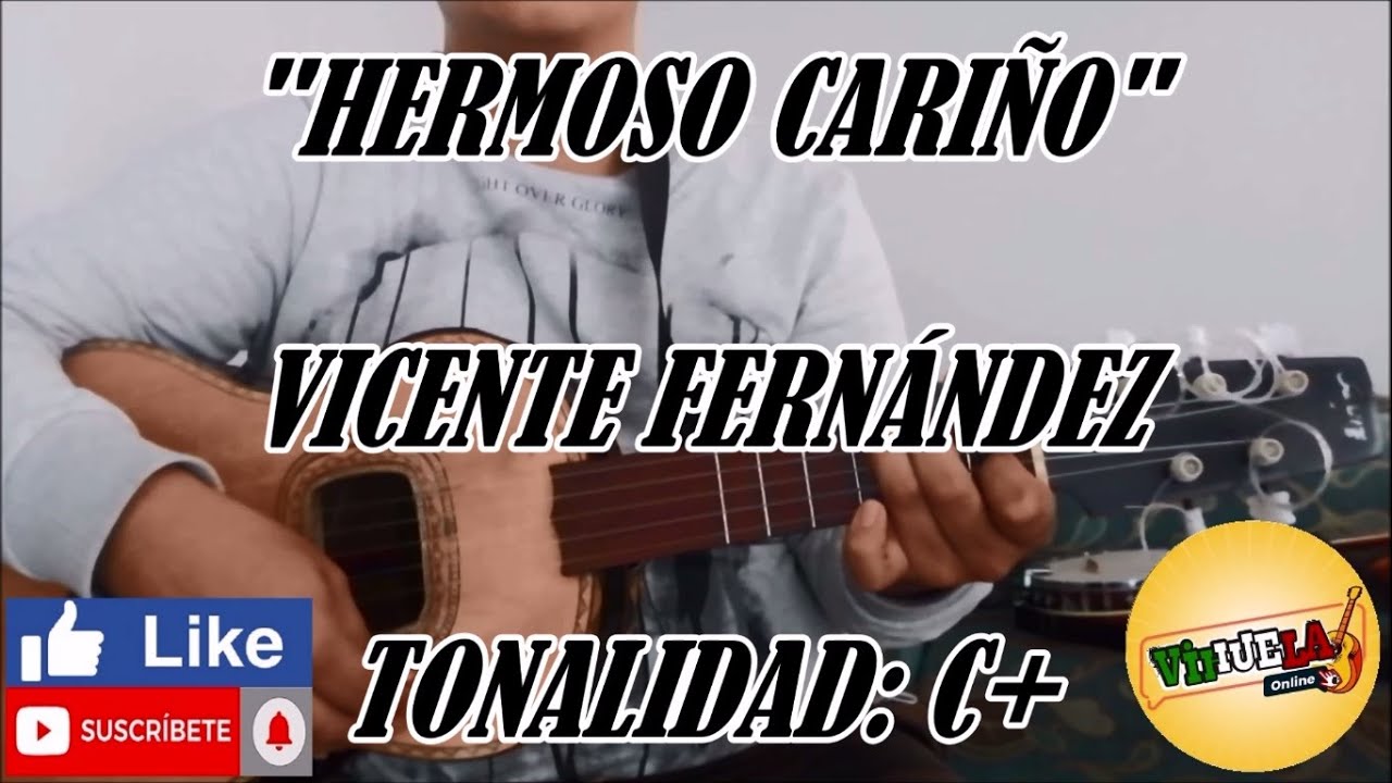 Hermoso Cariño - Vicente Fernández - Cover Vihuela