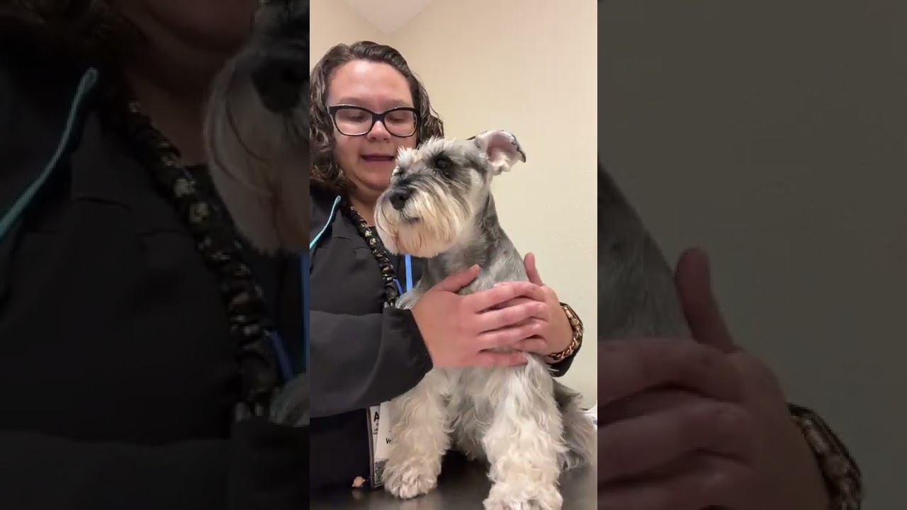 Penn Foster Veterinary Technician Program - Skill #8 Physical Examination