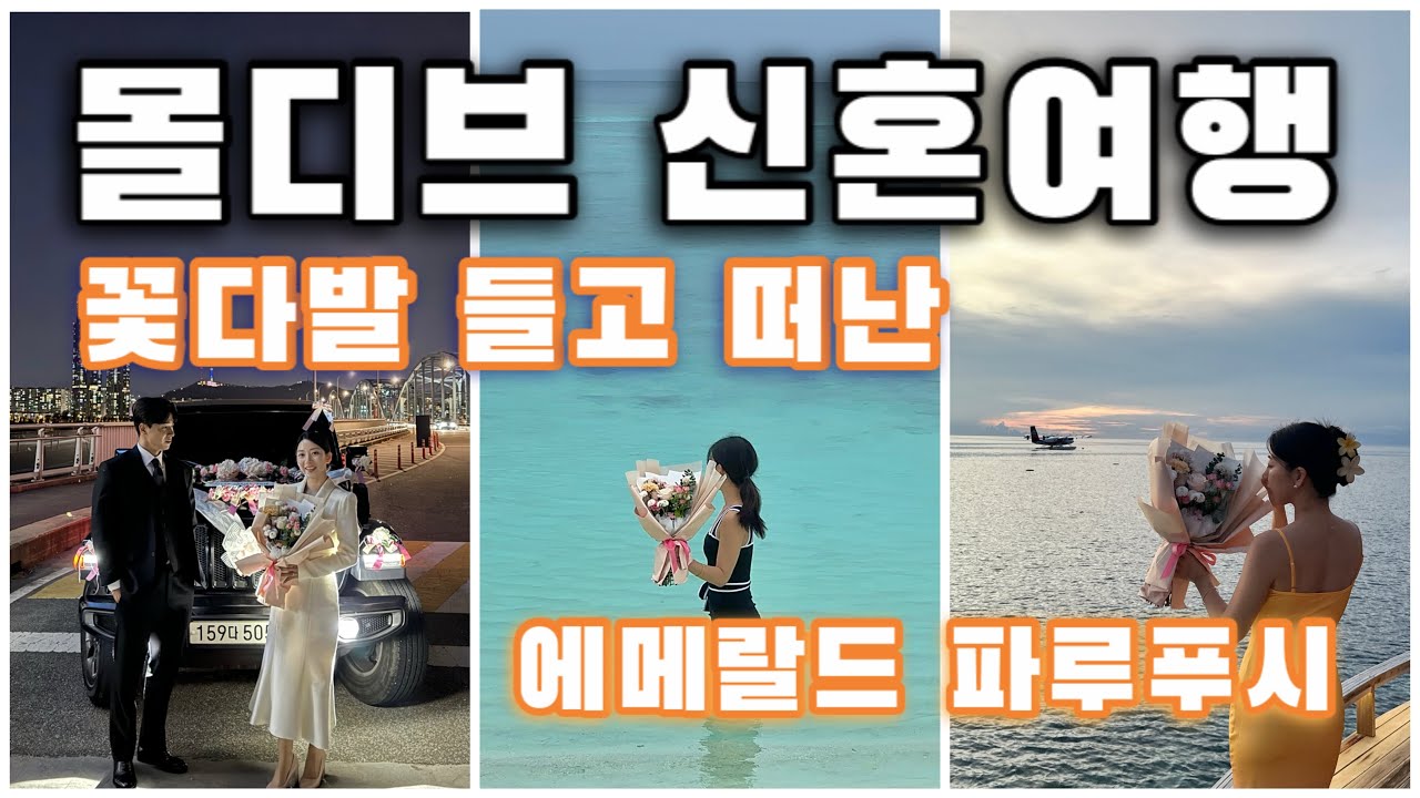 꽃다발 들고 몰디브 신혼여행 1편 #에메랄드파루푸시 #비치빌라 #스쿠버다이빙 #만타 #거북이 #상어 #