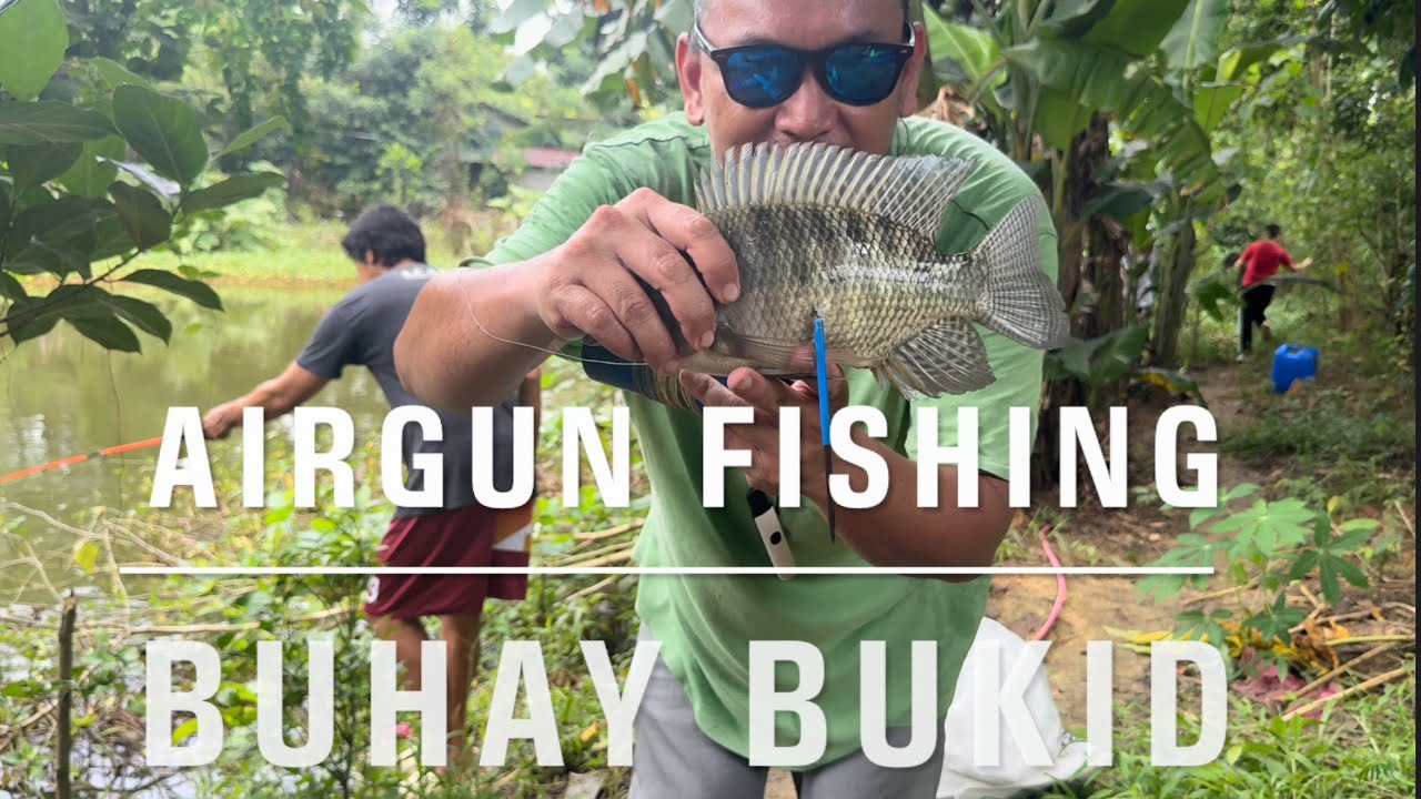 Harvest tilapia & saba