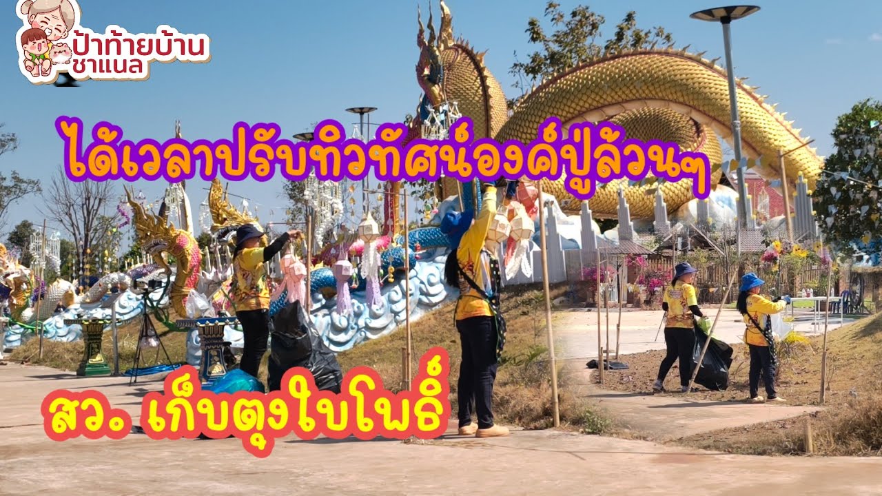 สะสางเก็บใบโพธิ์กับทิวทัศน์กลับมาเหมือนเดิม
