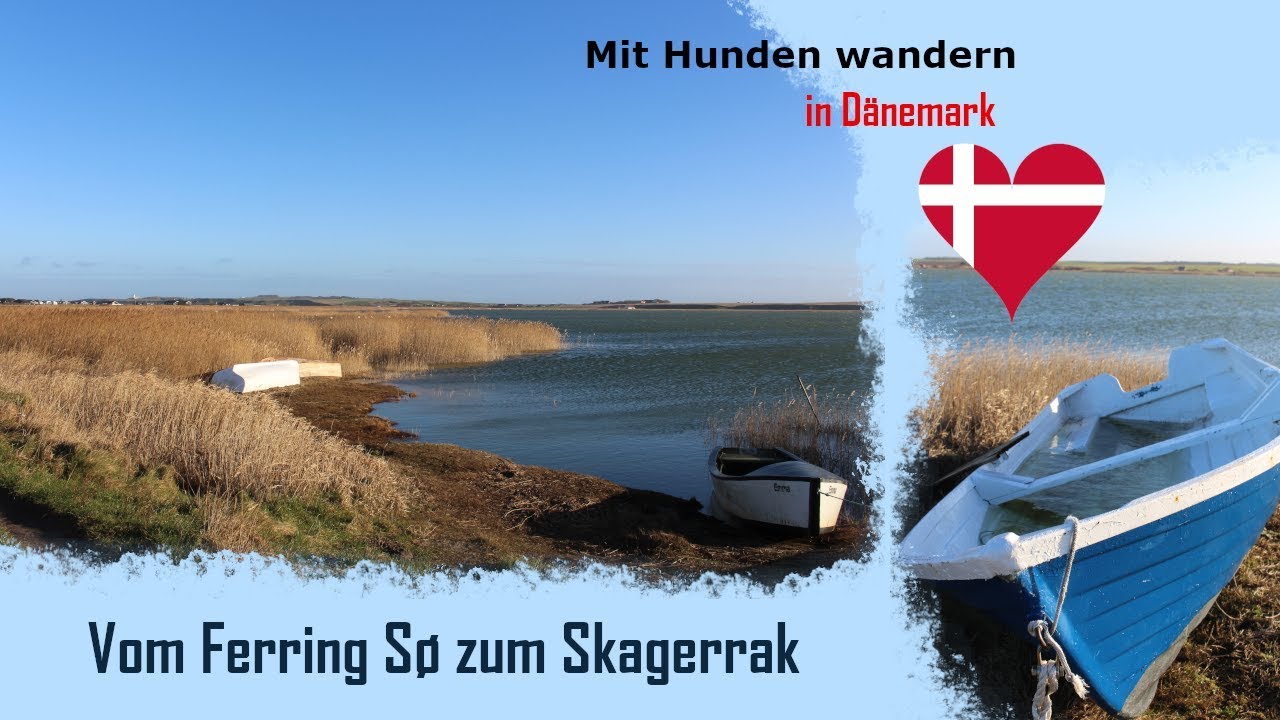 Mit Hunden wandern in Dänemark vom Ferring Sø zum Skagerrak