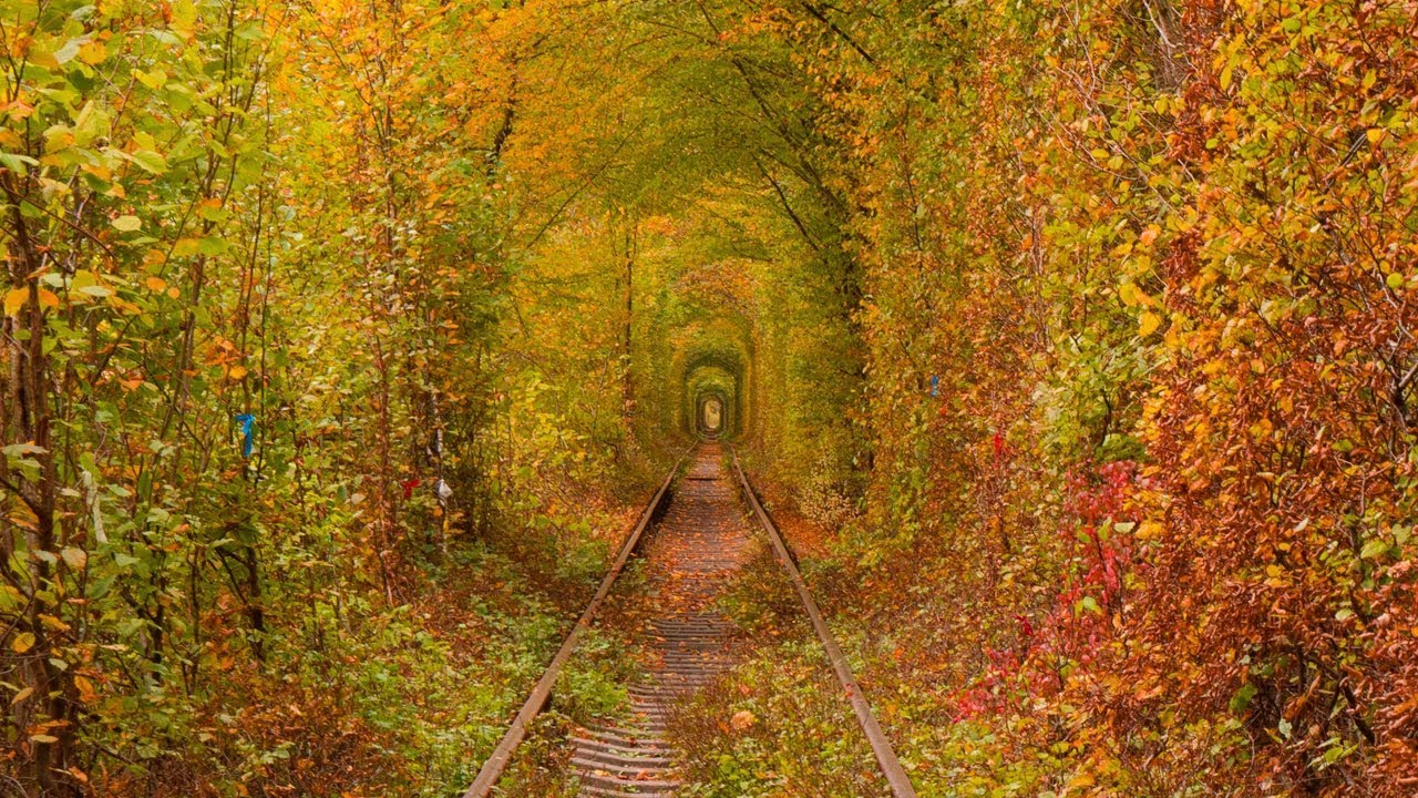 Solo Journey to The Tunnel of Love, Ukraine in the Fall