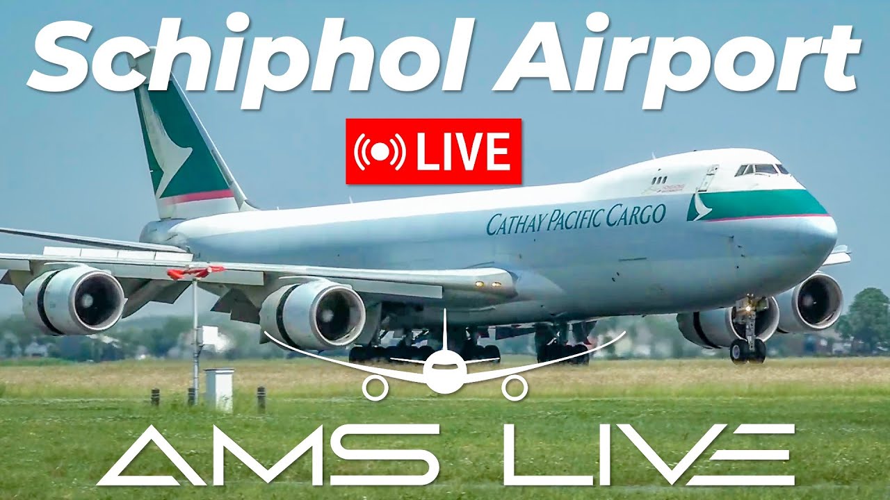 🔴 LIVE: Iconic Jumbo Jets & Epic Special Liveries at Schiphol Airport 🌞✈️ | June 27, 2024
