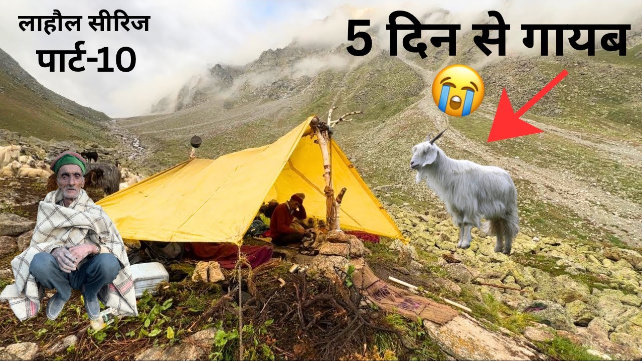 शाम ढलते ही 20 मीटर ग्लेशियर में घुस गया छोटू गद्दी 😳 5 दिन से लापता बकरी की तलाश | लाहौल 