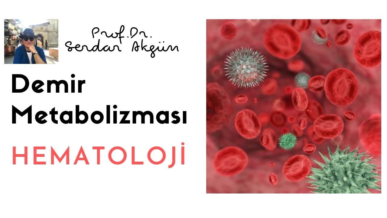 Hematoloji Demir Metabolizması, Tıp Dersleri, Serdar Akgün