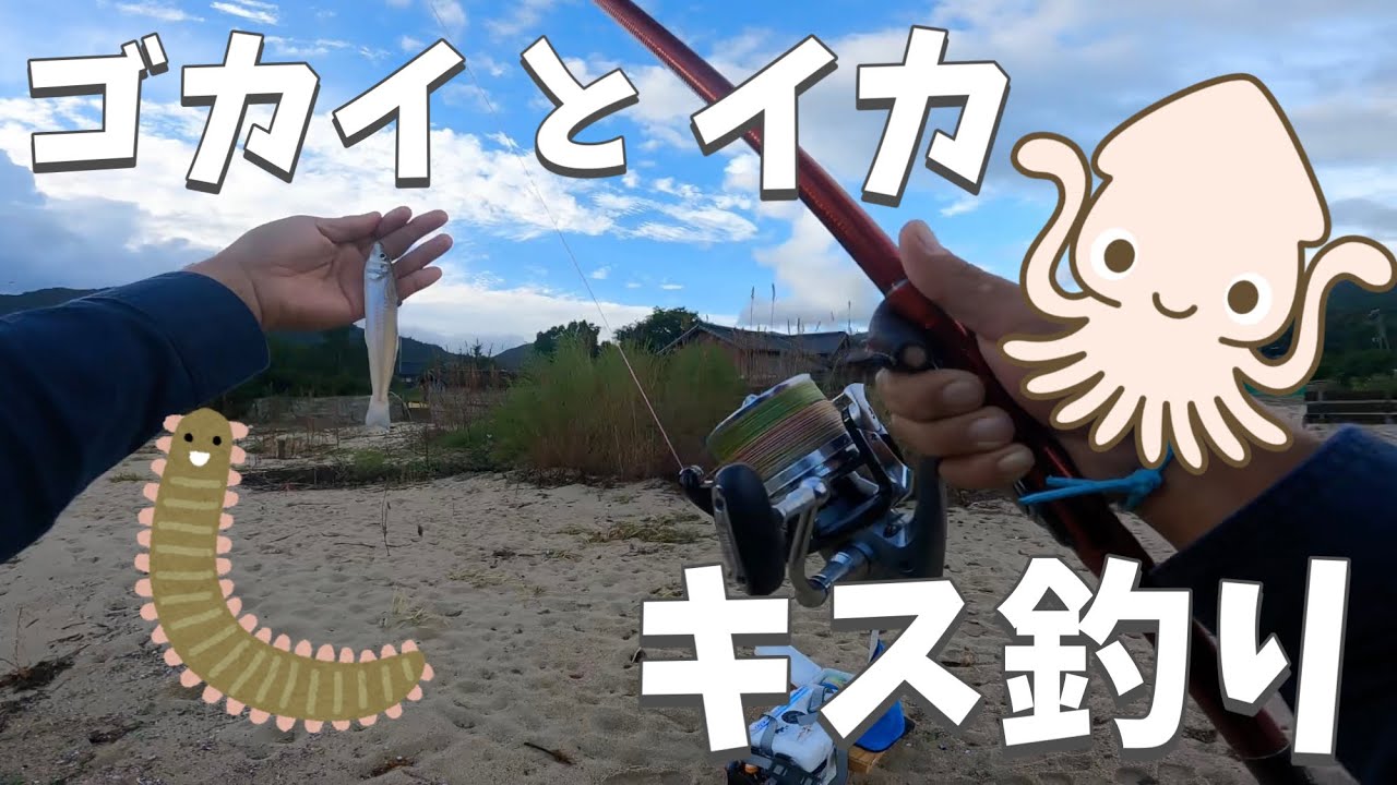 石ゴカイ（ジャリメ）と白イカ（ケンサキ）を使って鱚キスの投げ釣りやってみた！