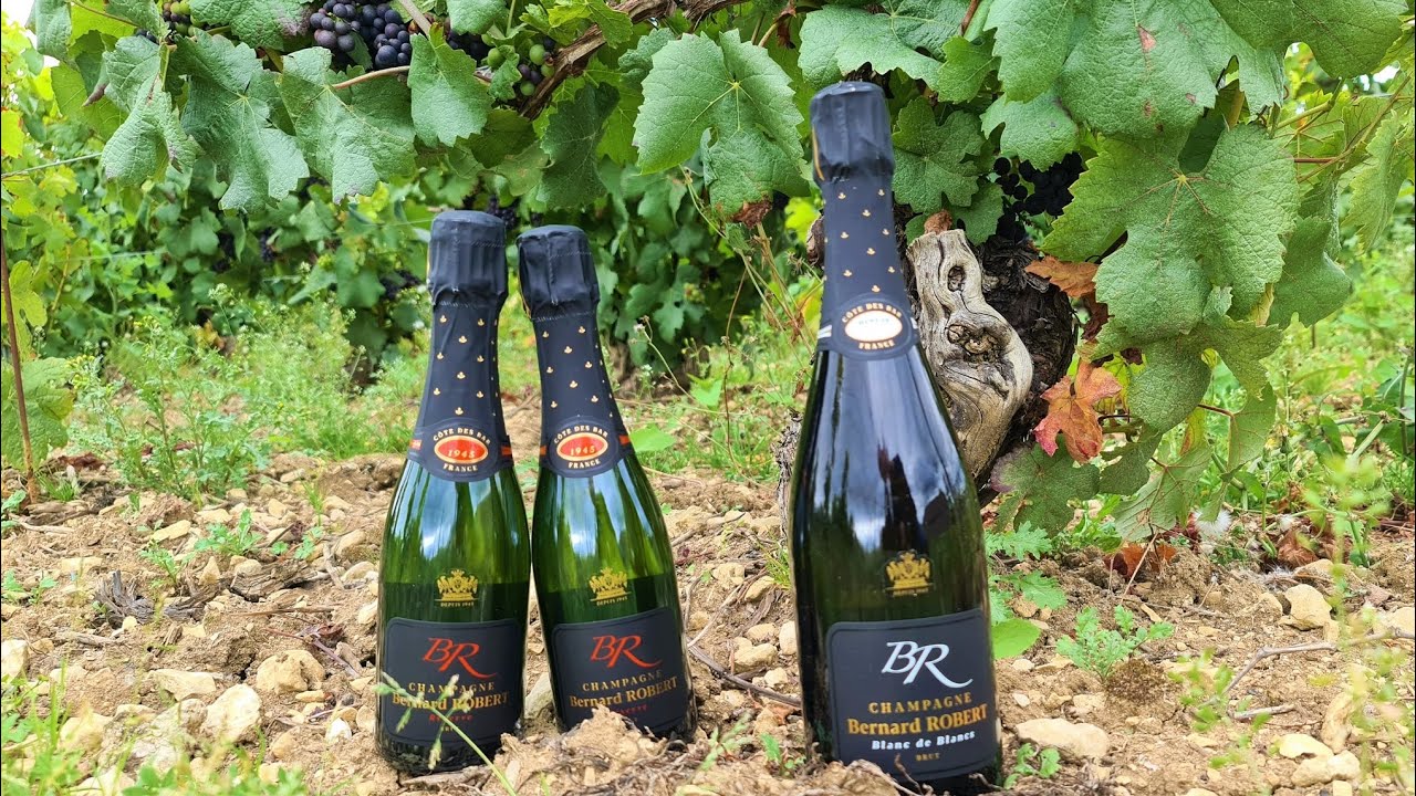 CHAMPAGNE - FRANCE, PART 1 | Our Camper Trips