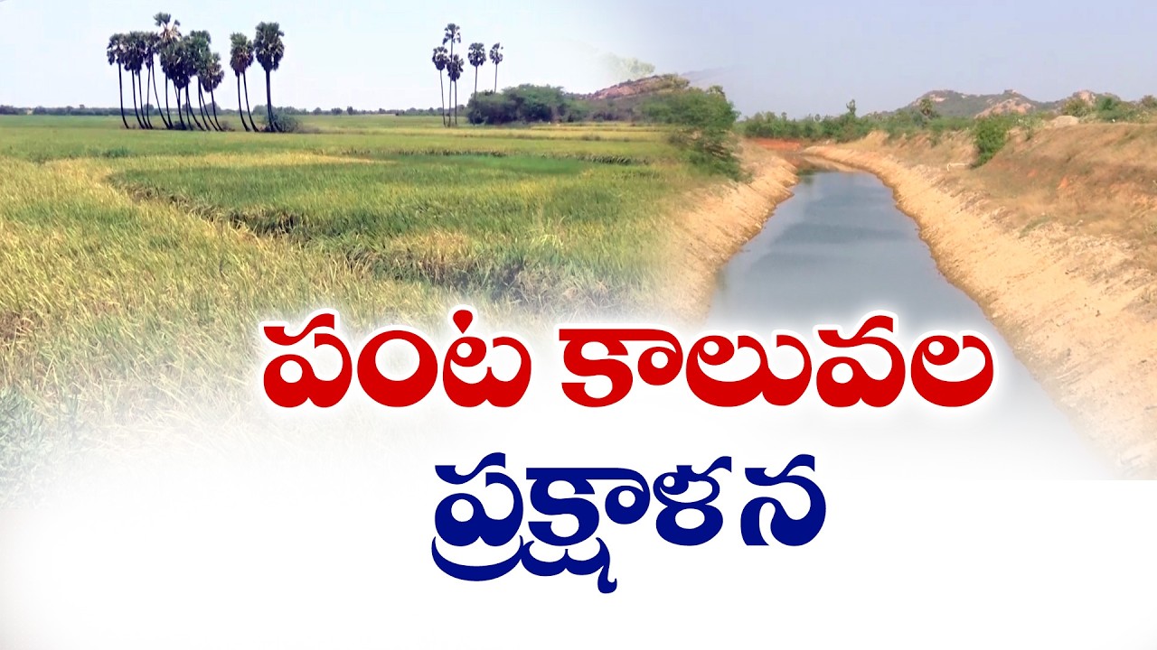 కూటమి ప్రభుత్వంలో వేగంగా సాగునీటి కాలువల ఆధునీకరణ | Alliance Govt Fast-Tracking Canal Modernization