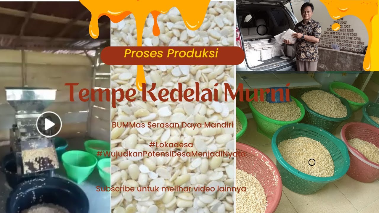 Proses Produksi Tempe Kedelai Murni || BUMMas Serasan Daya Mandiri