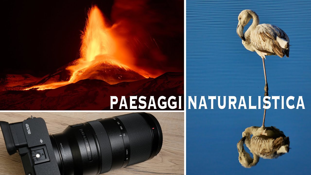 Sony E 70-350mm F4.5-6.3 - Due Piccioni Con Una Fava