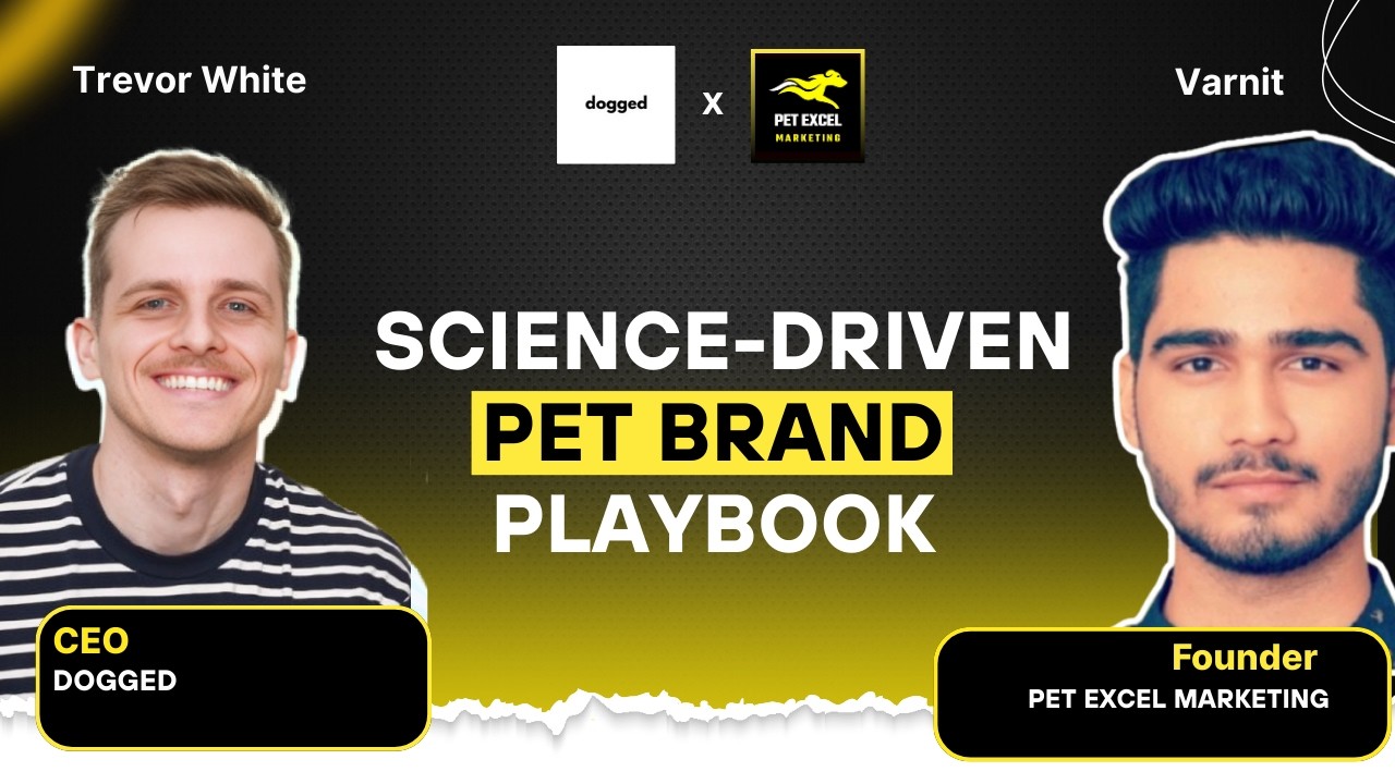 How to Build a Successful Dog Product Brand (Product, Marketing, Retention)