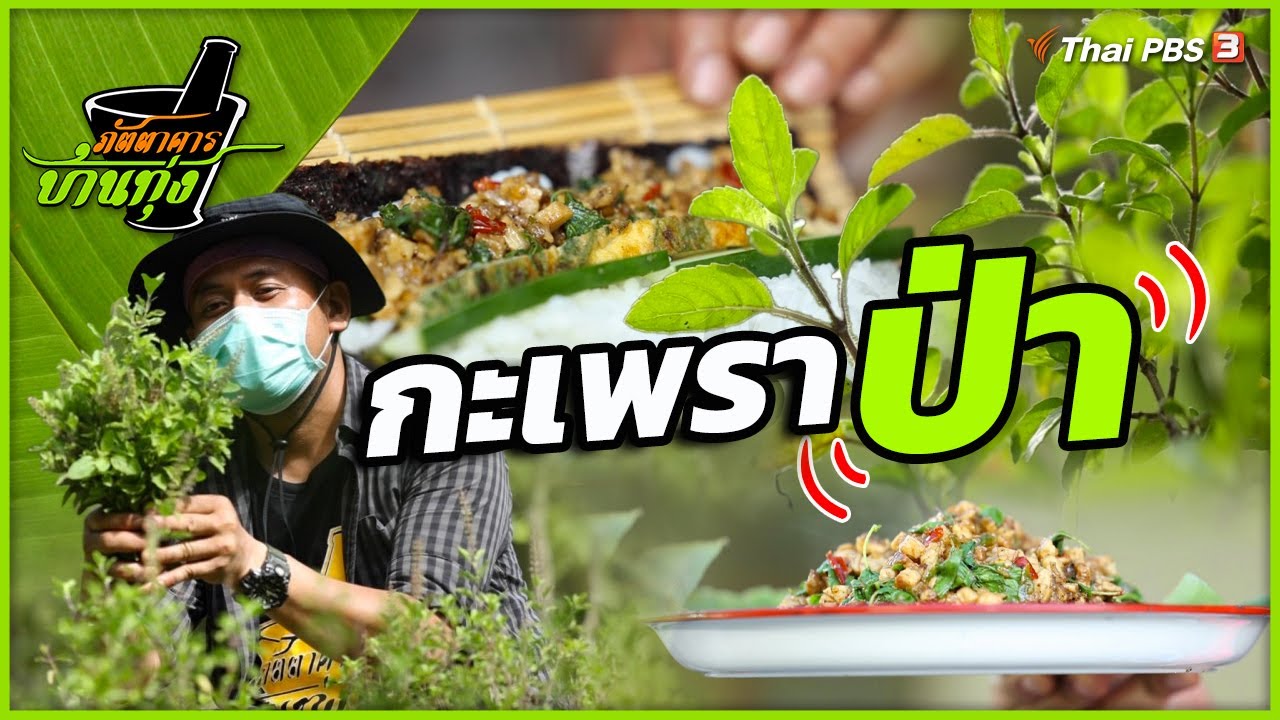 กะเพราป่า | ภัตตาคารบ้านทุ่ง