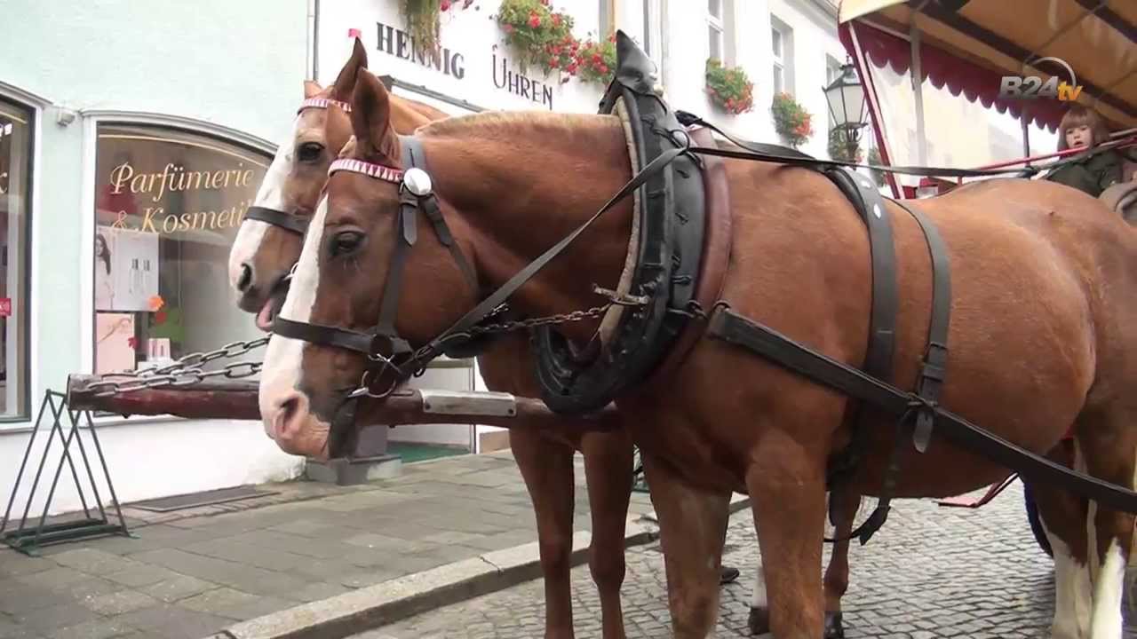 Hubertusjagd Luckau 2013