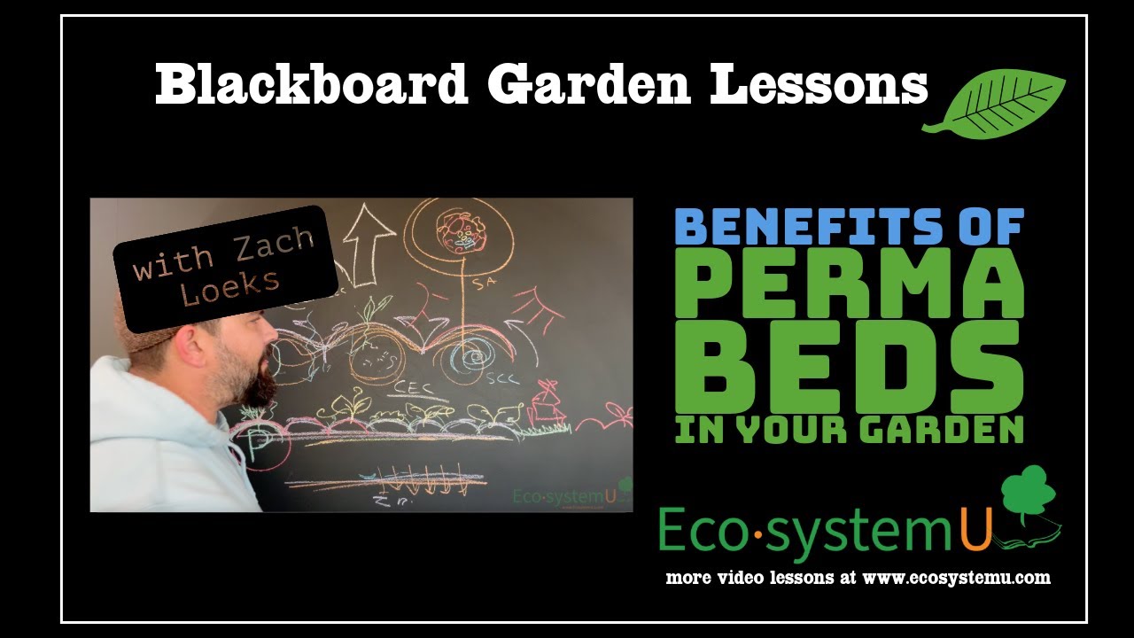 Blackboard Garden Lesson: Benefits of Permabeds