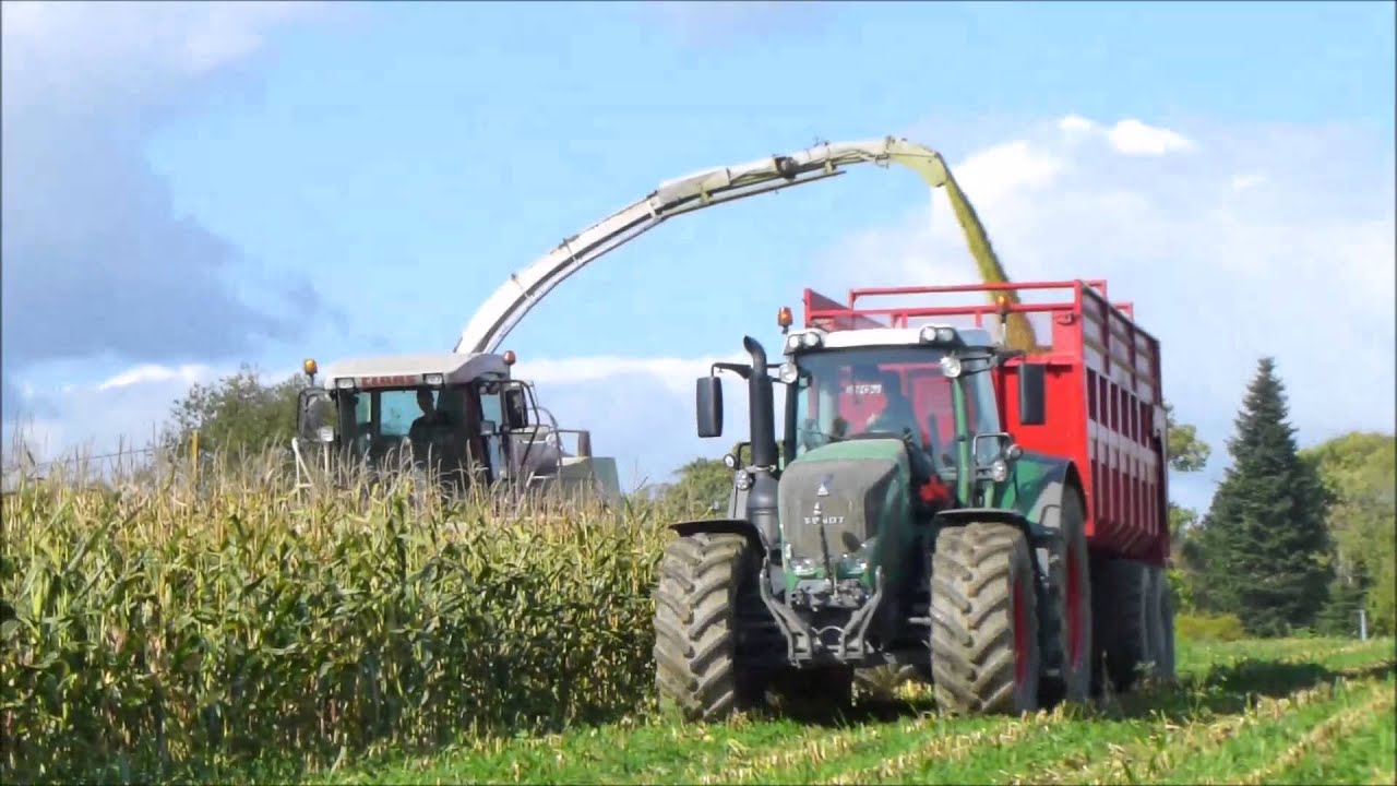 Ensilage de maïs 2015 !! 3 Fendt et Claas Jaguar 10 rangs