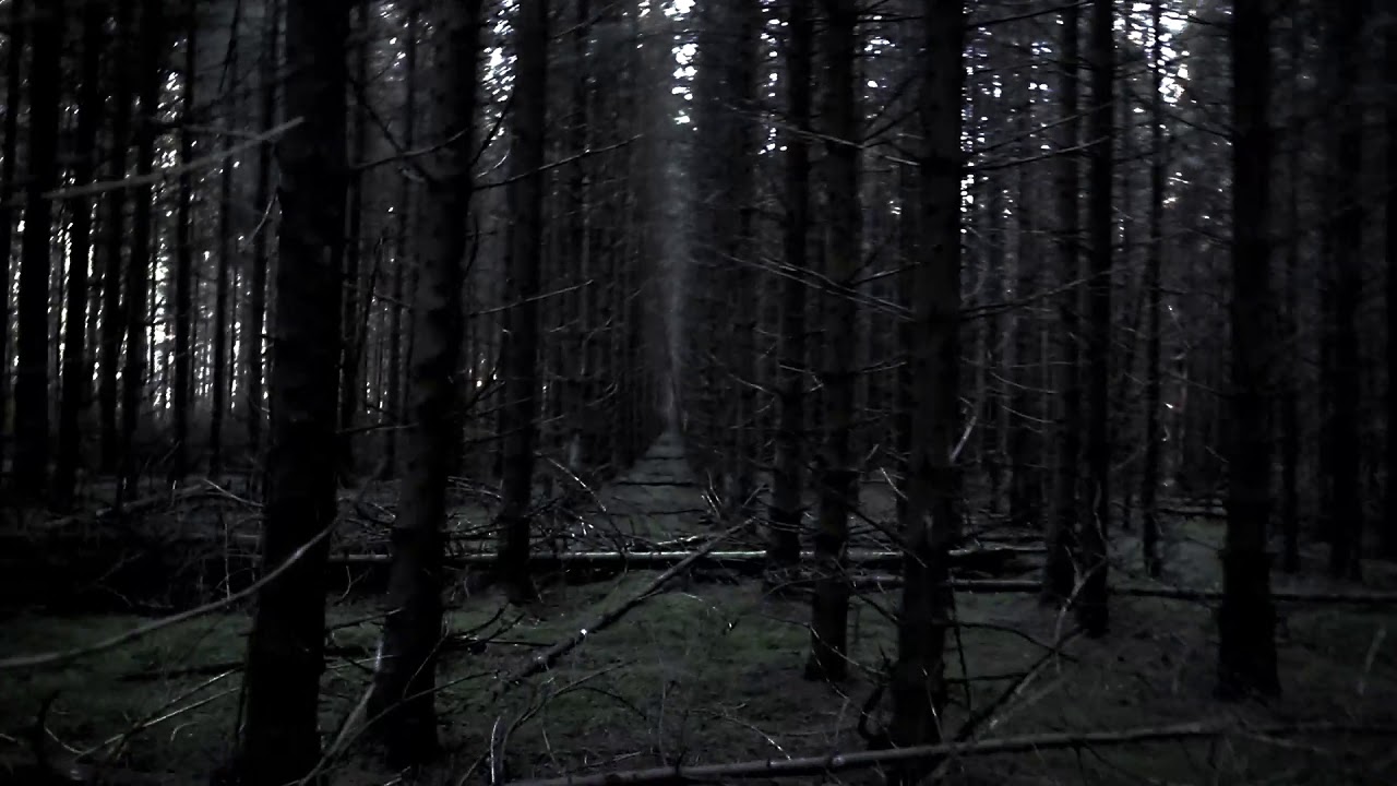 Habemik -  Jessica
