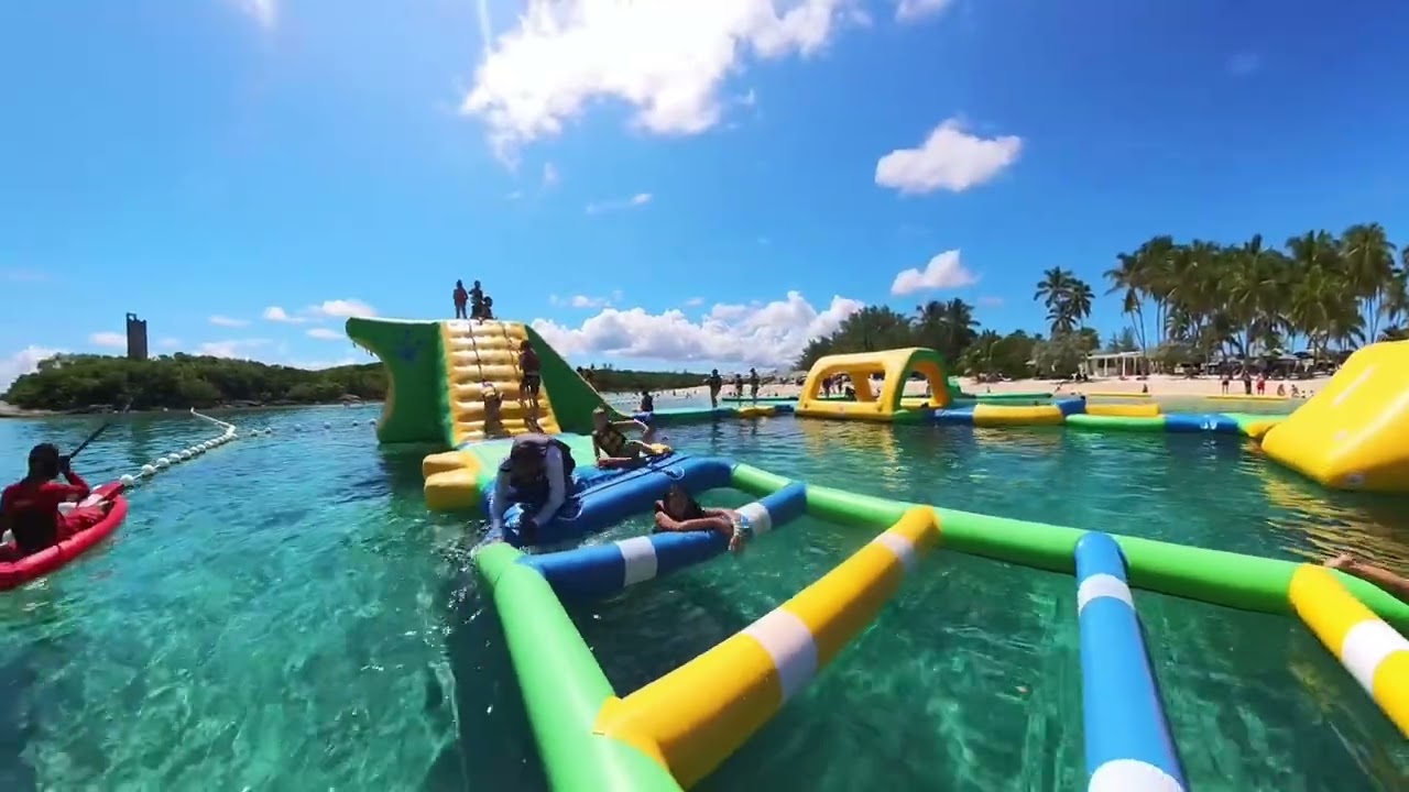 Blue Lagoon Island Dolphin Encounter October 2024