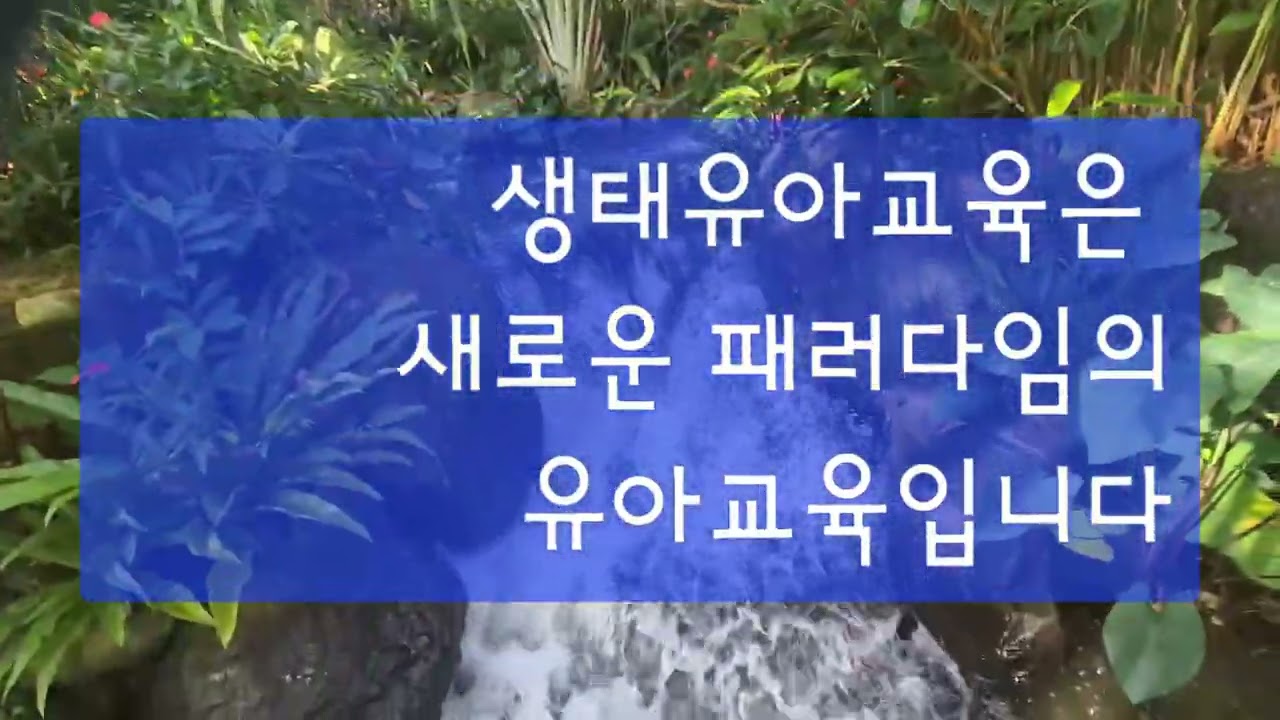 #유아숲생태교육의이해 #유아숲생태교육의개념 #유아숲생태교육의성격 #유아숲생태교육