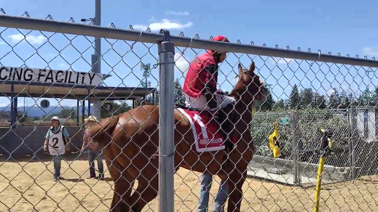 2025年6月22日。Grants Pass Downs競馬場第4レース本馬場入場