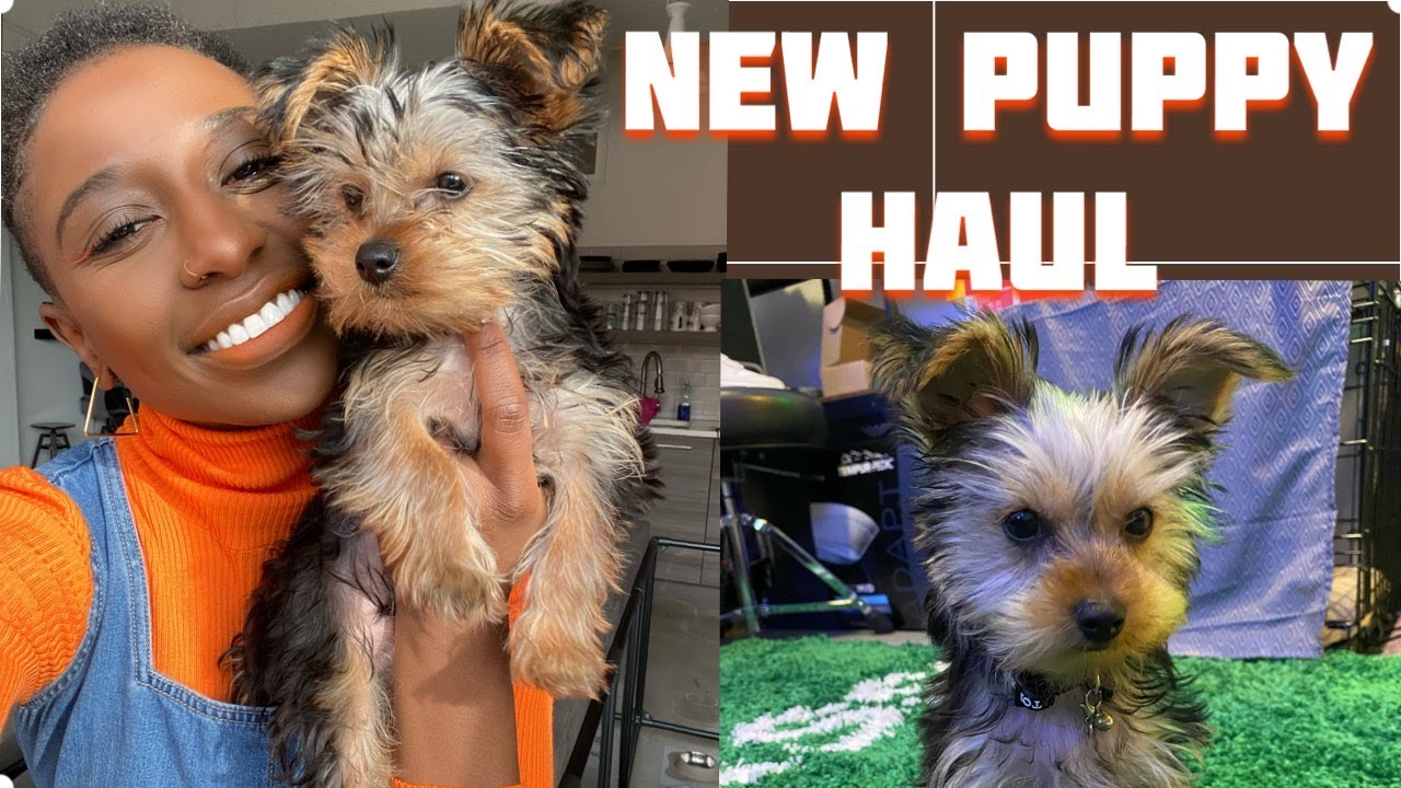 NEW PUPPY HAUL | YOU WON'T NEED ANYTHING ELSE