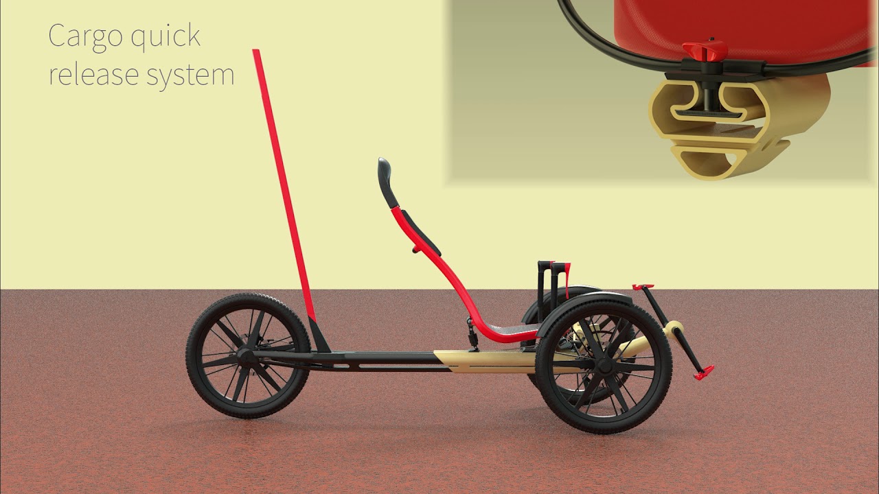 Cargo trike