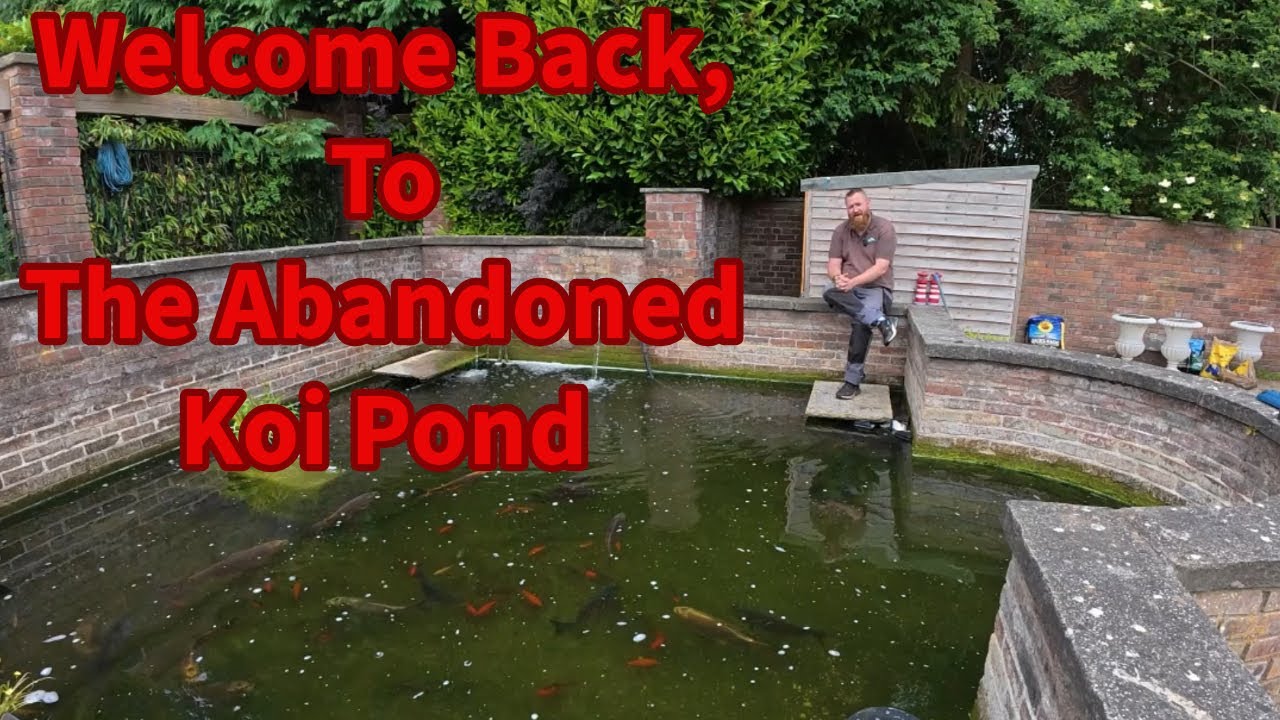 Ep.5 - Cleaning The Abandoned Koi Pond