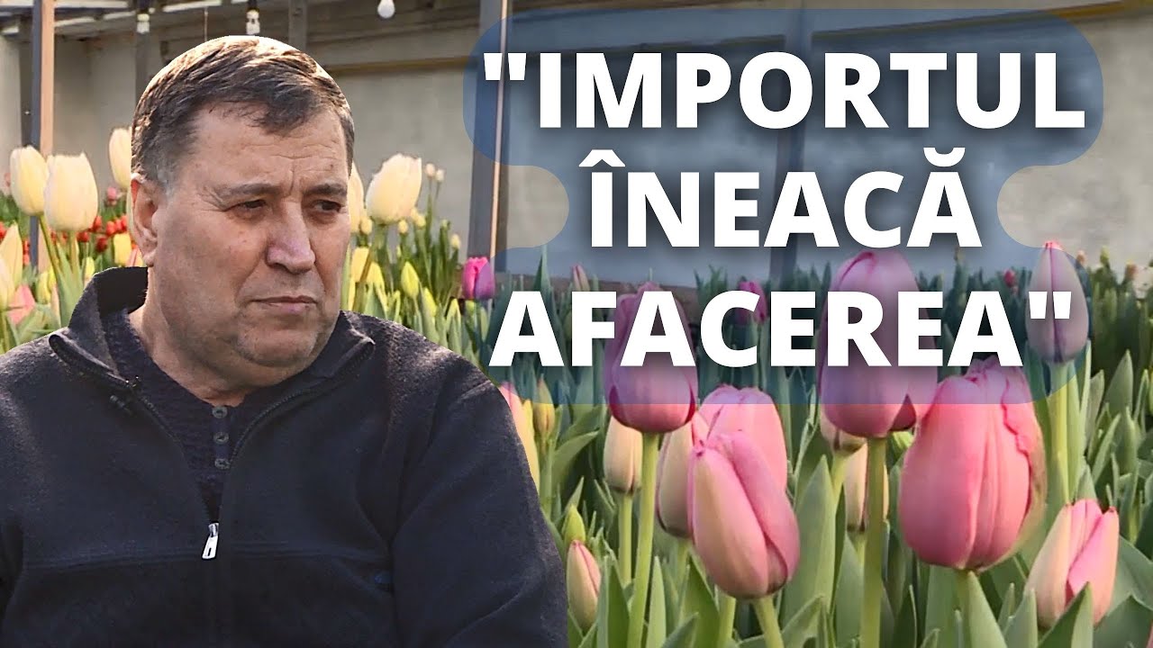 Afacerea cu flori în Moldova - între riscuri, profit şi miros îmbietor