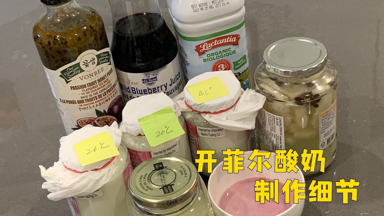 怎么制作家庭版开菲尔酸奶How to make Kefir yogurt？#toronto #yogurt