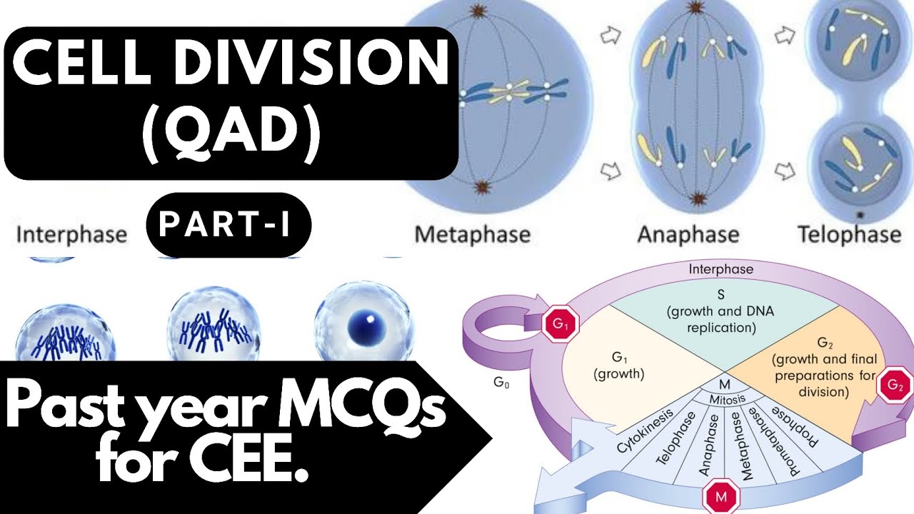 Cell Division(Part-1)+ QAD of Past Year MCQs CEE, IOM, KU, BPKIHS || CEE Nepal
