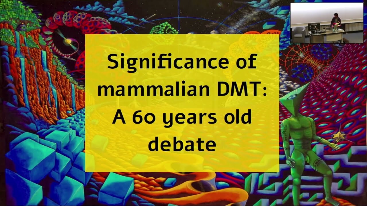 Javier Hidalgo Jim&eacute;nez - Significance of mammalian DMT: A 60-year-old debate