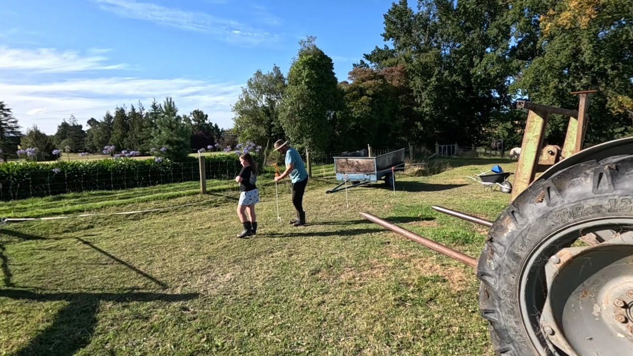 Hot Summer Afternoon Chores on the Lifestyle Block NZ