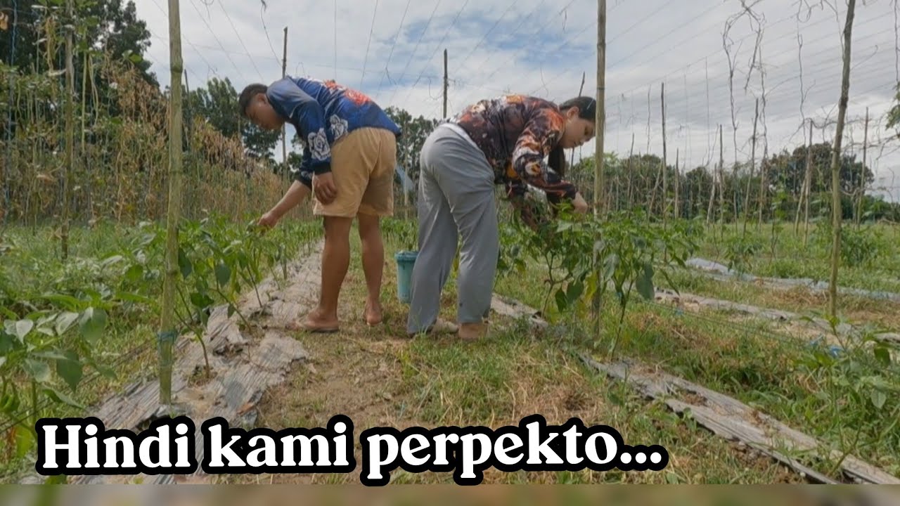 MAY RESULTA NA 🤔 | TUMAMA SA PRESYO PERO KONTI ANG NAITANIM 🙏 |