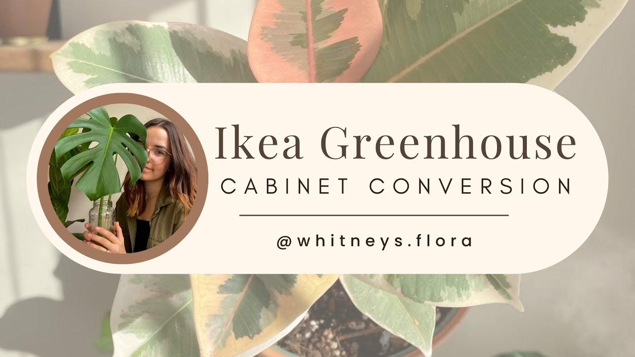 Ikea Greenhouse Cabinet Conversion