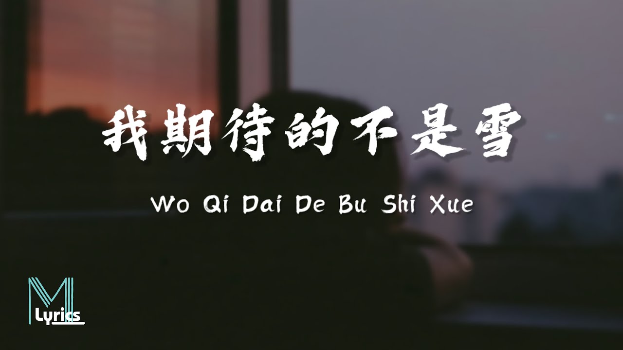 Zhang Miao Ge (张妙格) - Wo Qi Dai De Bu Shi Xue (我期待的不是雪) Lirik 歌词 Pinyin (動態歌詞)