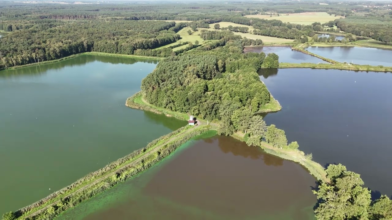 Region Ostrzeszów, (Stawy w Rybinie, gmina Kobyla Góra)