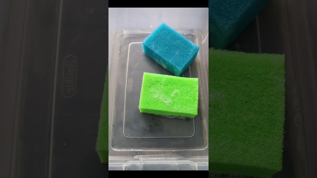 Kiwi 🥝 Combo w/ Epoxy Sponges 🧽 | Sponge ASMR 🤘🎸