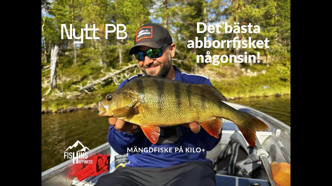 FLERA över kilot och nytt PB - HELT sinnessjukt abborrfiske!