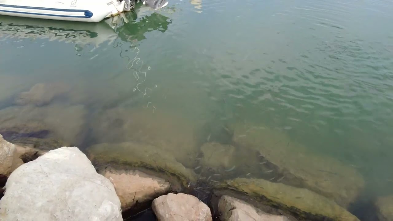 Altea, harbor, British tourist is catching fish