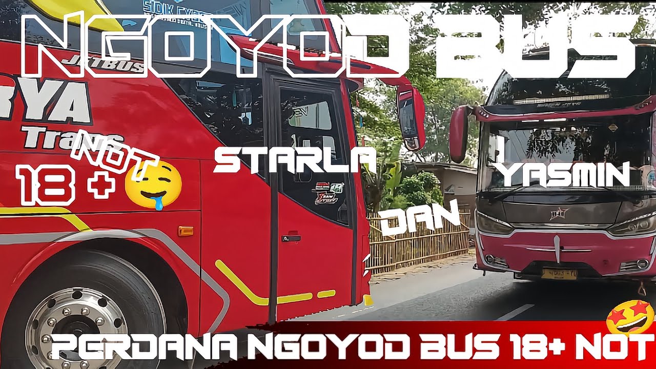 [ PERDANA NGOYOD BUS 18+ NOT🤩🤤 ] ngoyod bus Aria Surya starla , sama bus Bumen jaya yasmin 