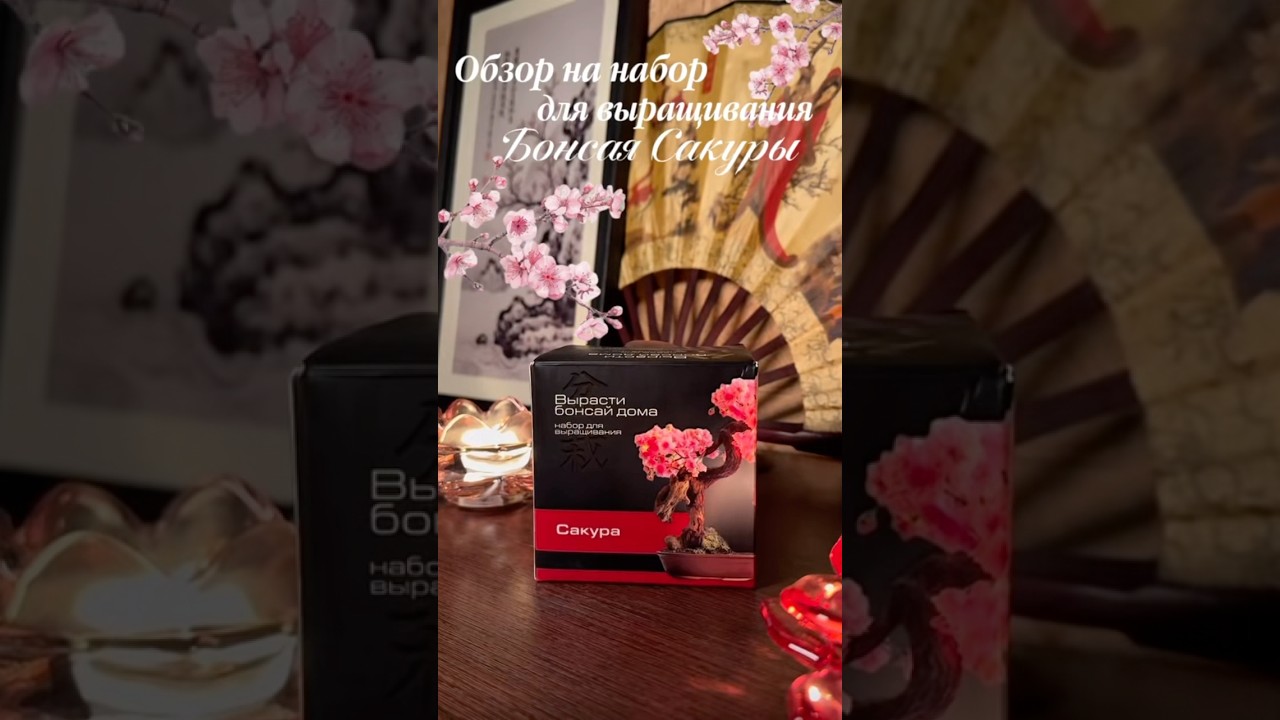 выращиваем сакуру🌸 больше такого в моем тгк, ссылка в шапке профиля🖤