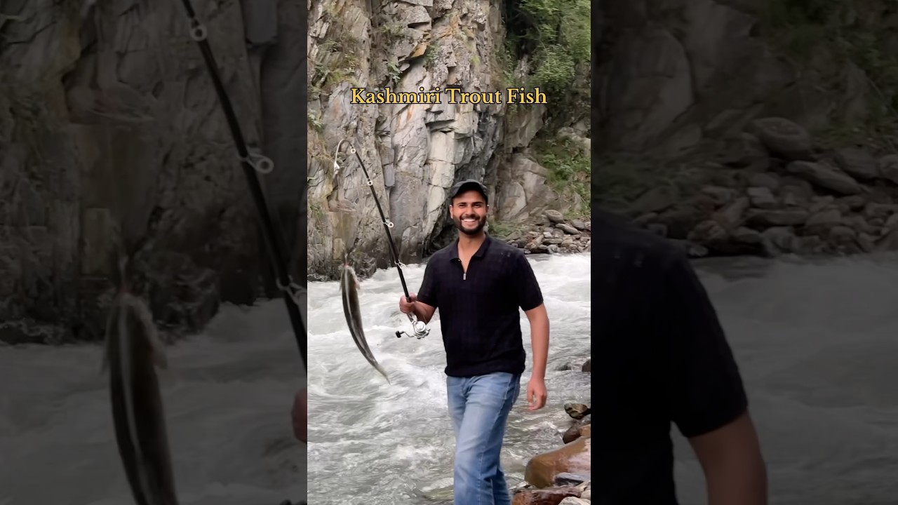 Trout Fishing and Cooking 🎣 