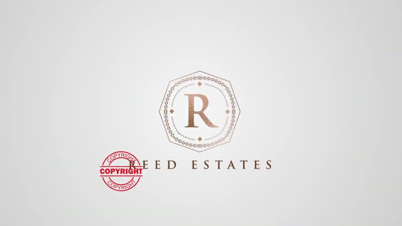 Elegant logo animation