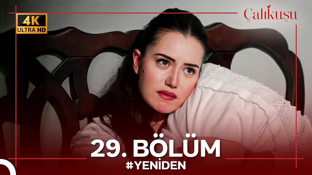 Çalıkuşu 29. Bölüm #YENİDEN (4K)