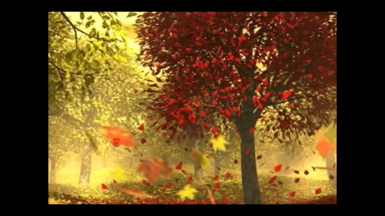 Julie Miller - I Still Cry