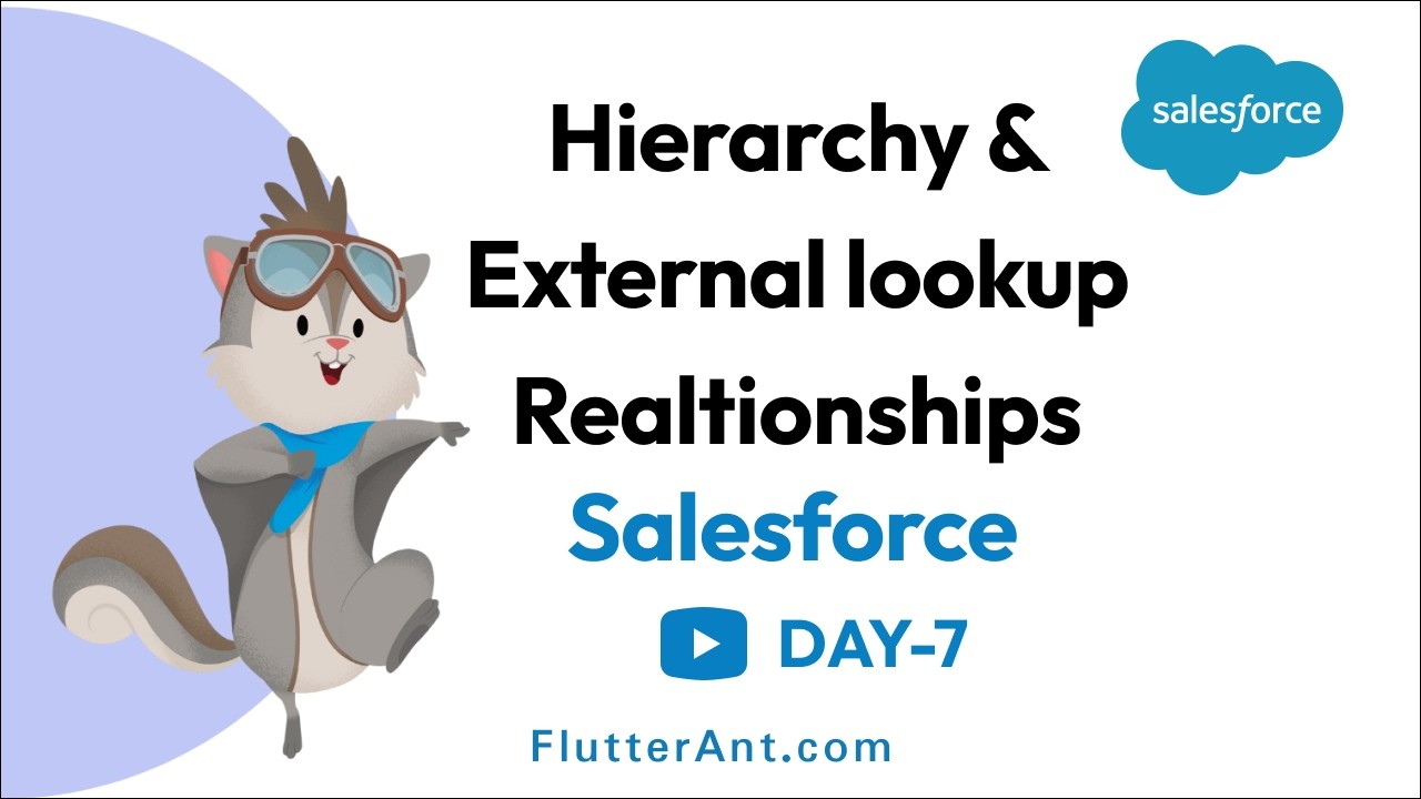 Day 7 - How Hierarchy and External Lookup Relationships Work in Salesforce (Deep Dive)