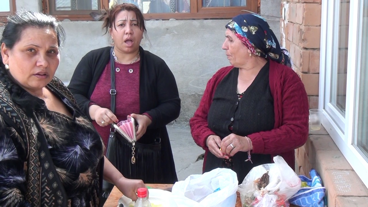 dulovo fevzi & gulver 1