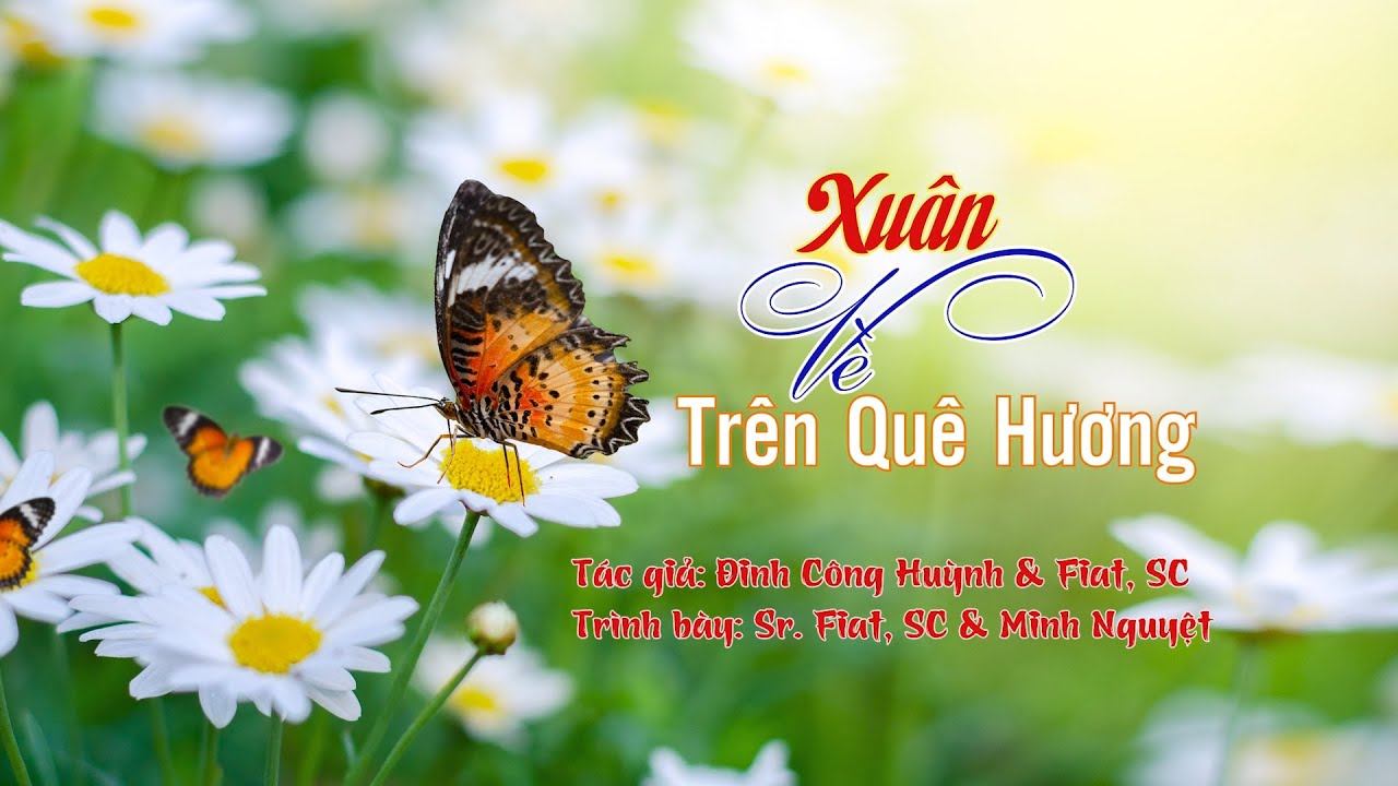 Xuân Về Trên Quê Hương (Đinh Công Huỳnh & Fiat, SC) - Trình bày: Sr. Fiat, SC & Minh Nguyệt