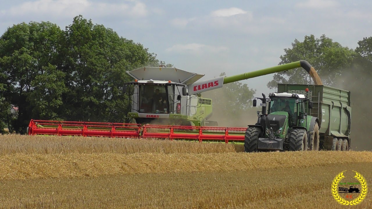2 X Claas Lexion 770 mit 12m bei der Getreideernte / Harvest / 2017