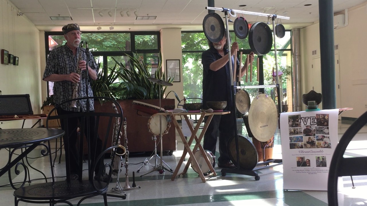VIBRANT ENSEMBLE(Stephan Brandstatter & Dennis Waring)